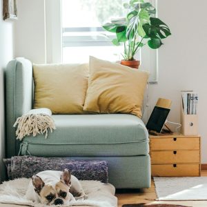 From modern minimalism to cozy